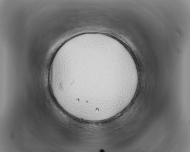 X0000114201504200911061413