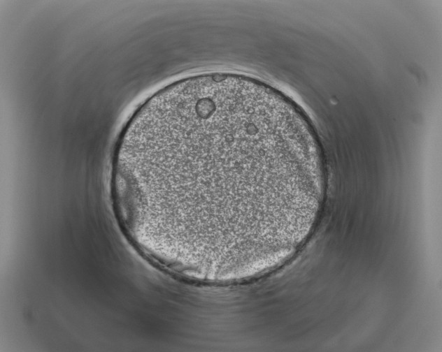 X0000114201508200911061413