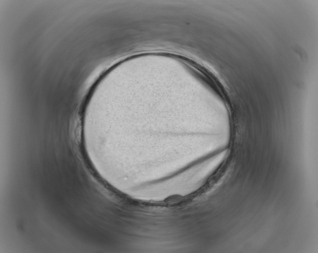 X0000114201509200911061413