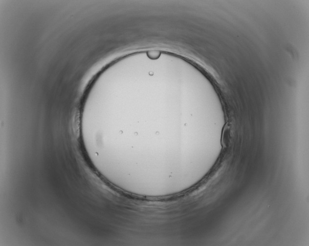 X0000114201510200911061413