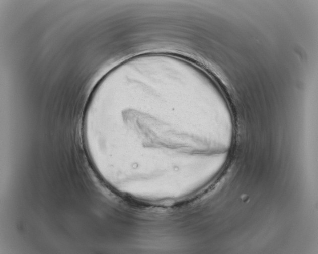 X0000114201513200911061413