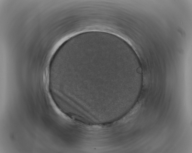 X0000114201515200911061413