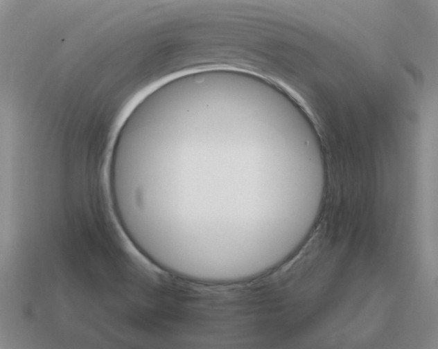 X0000114201516200911061413