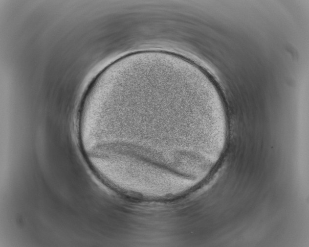 X0000114201517200911061413