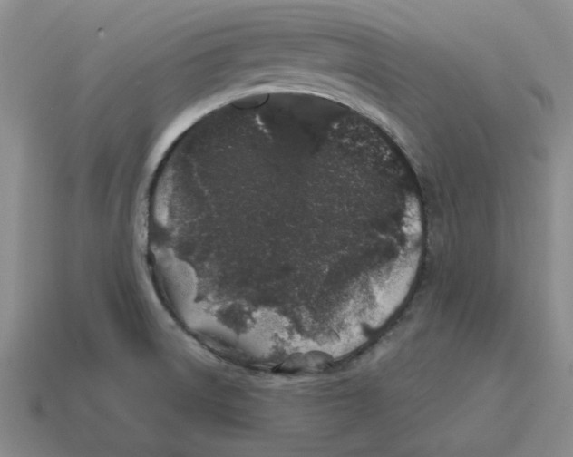 X0000114201522200911061413