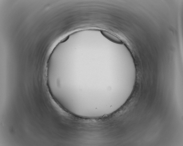 X0000114201524200911061413