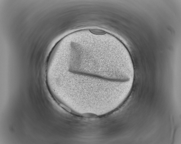 X0000114201526200911061413