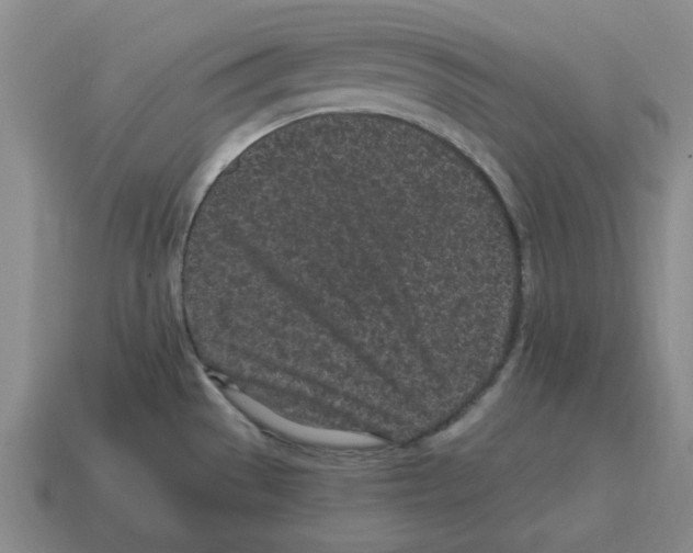 X0000114201529200911061413