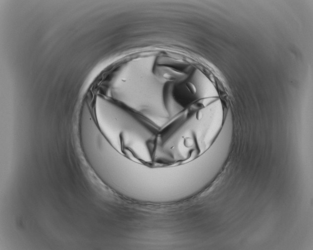 X0000114201530200911061413