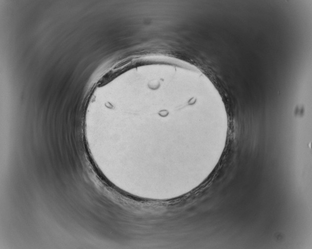 X0000114200004200911201010