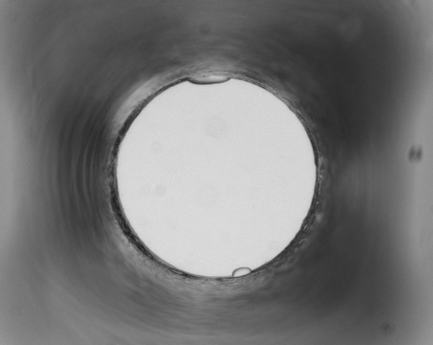 X0000114200007200911201010