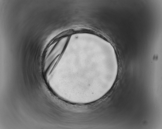 X0000114200008200911201010