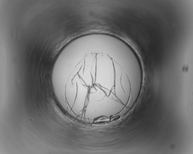 X0000114200009200911201010