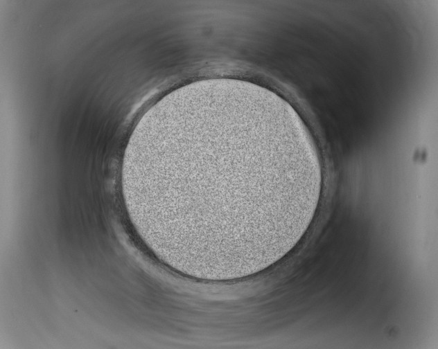 X0000114200010200911201010