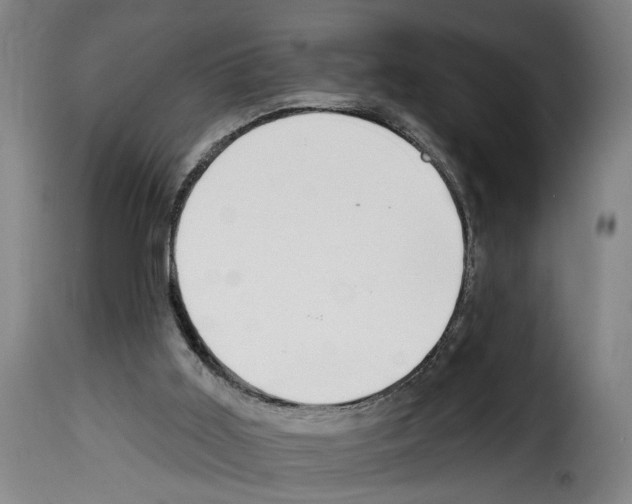 X0000114200011200911201010