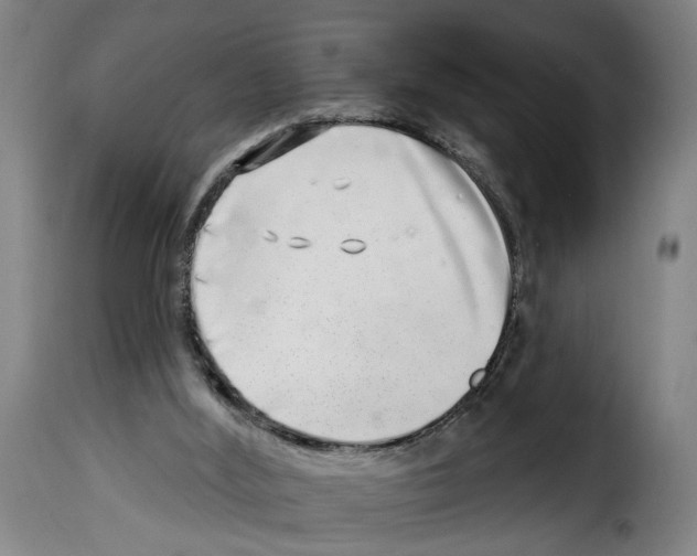 X0000114200012200911201010