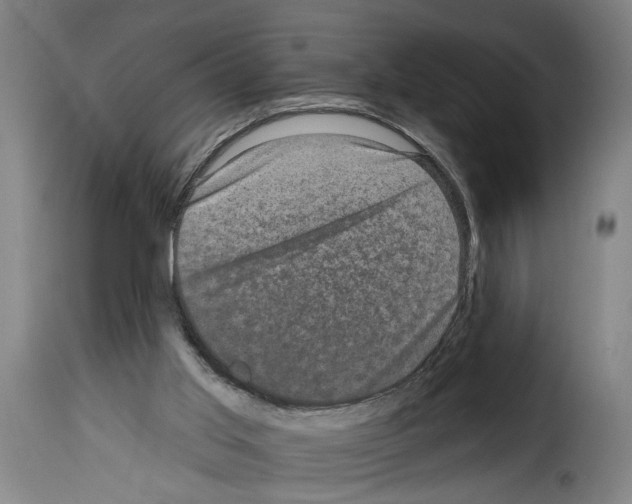 X0000114200013200911201010