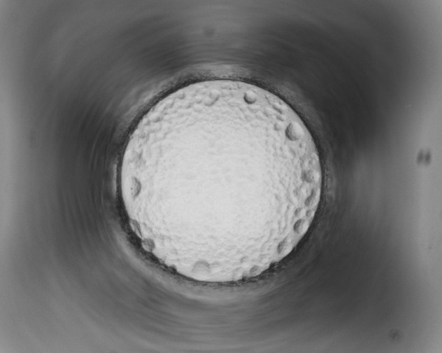 X0000114200014200911201010