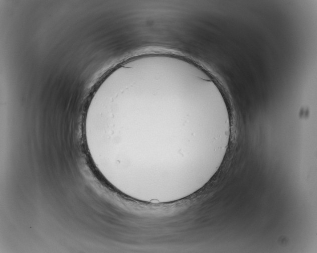 X0000114200015200911201010