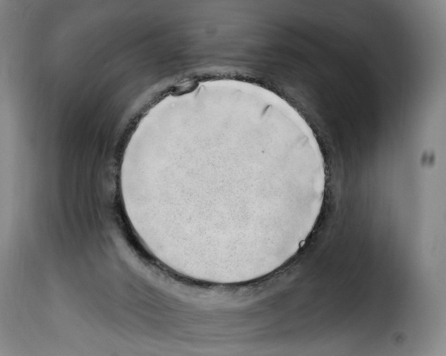 X0000114200016200911201010