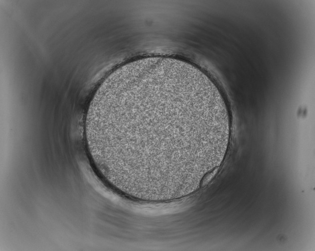 X0000114200017200911201010