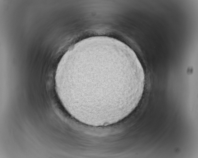 X0000114200018200911201010