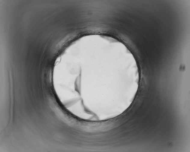 X0000114200021200911201010