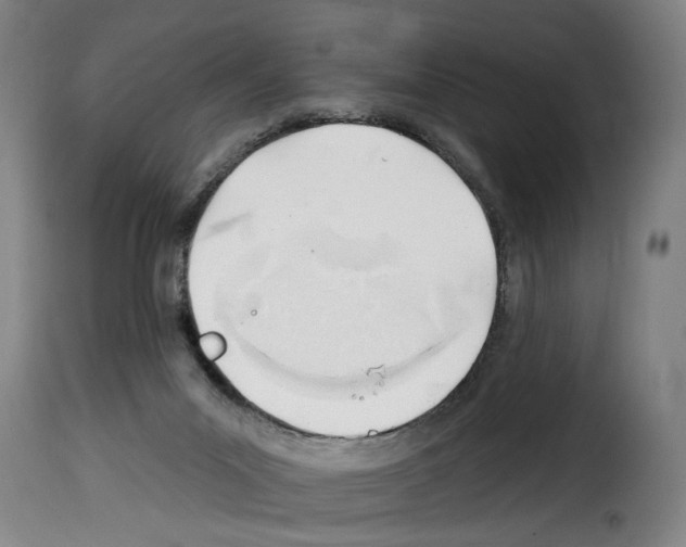 X0000114200023200911201010