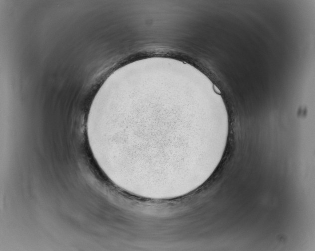 X0000114200024200911201010