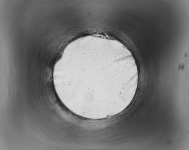 X0000114200025200911201010