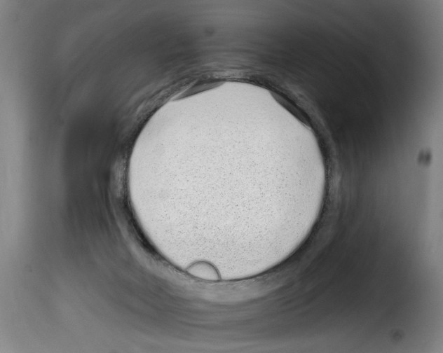 X0000114200026200911201010