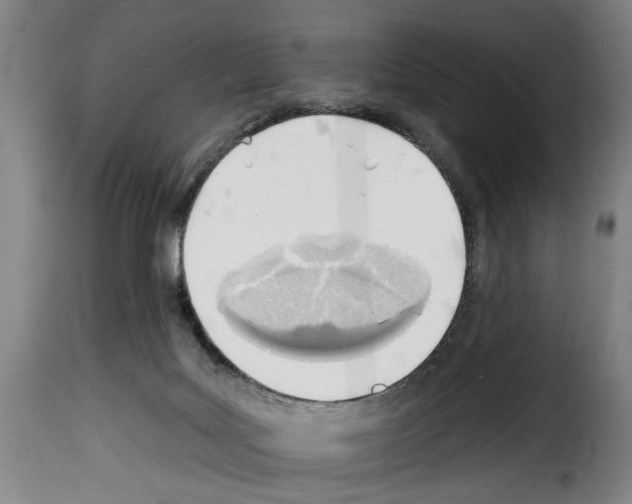 X0000114200027200911201010