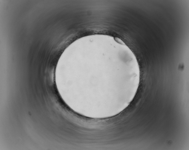 X0000114200028200911201010