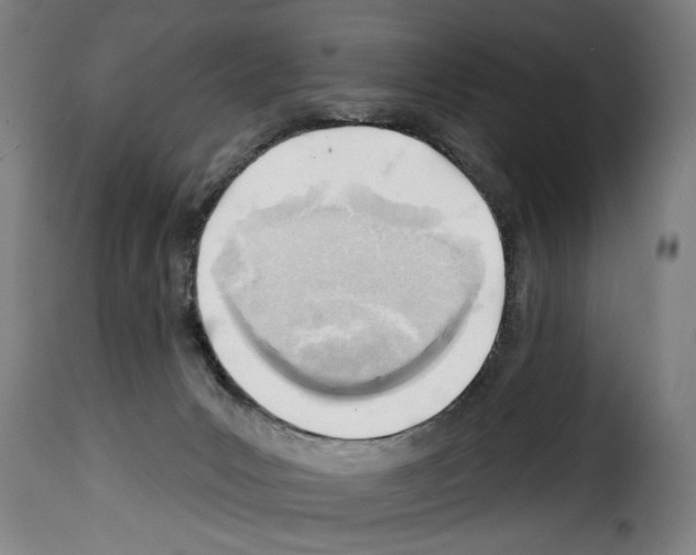 X0000114200031200911201010