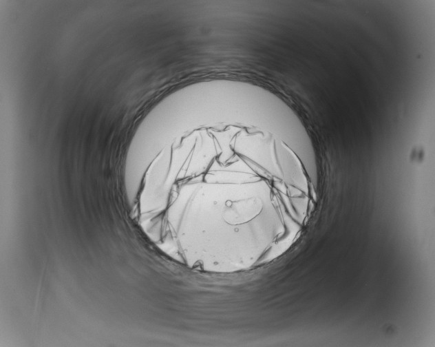 X0000114200033200911201010