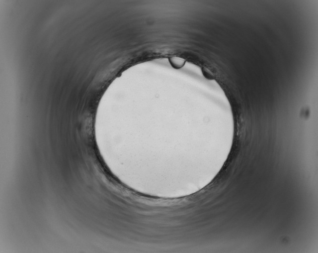 X0000114200036200911201010