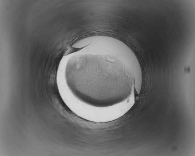 X0000114200039200911201010