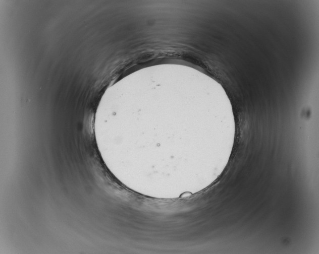 X0000114200041200911201010