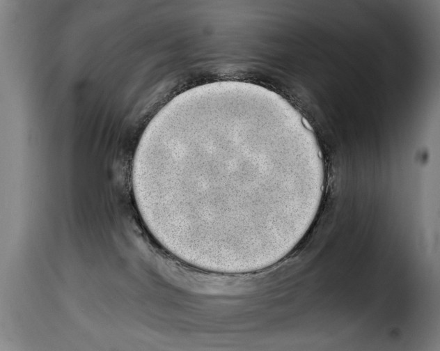 X0000114200044200911201010