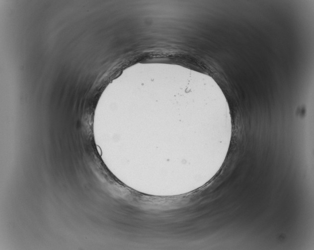 X0000114200045200911201010