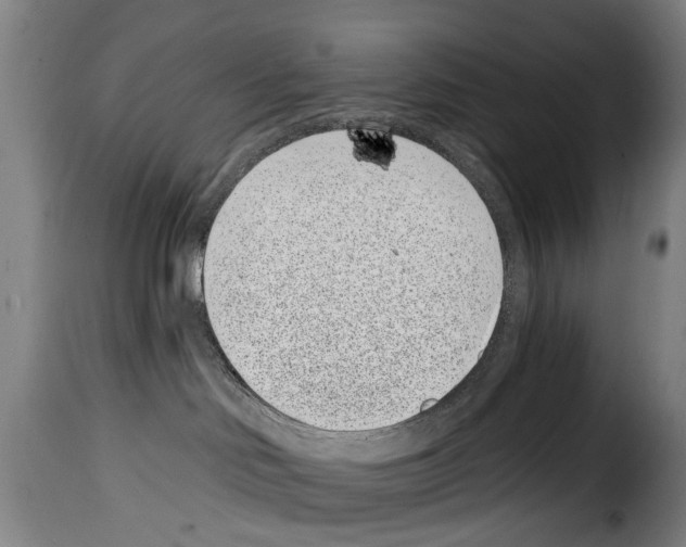 X0000114200046200911201010