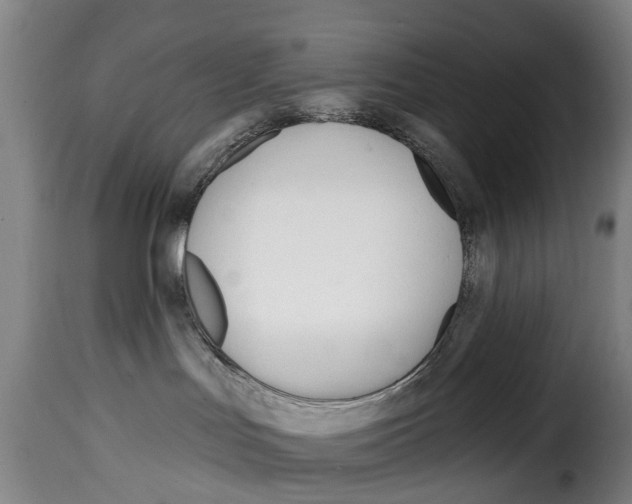 X0000114200047200911201010