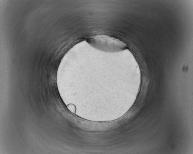 X0000114200048200911201010