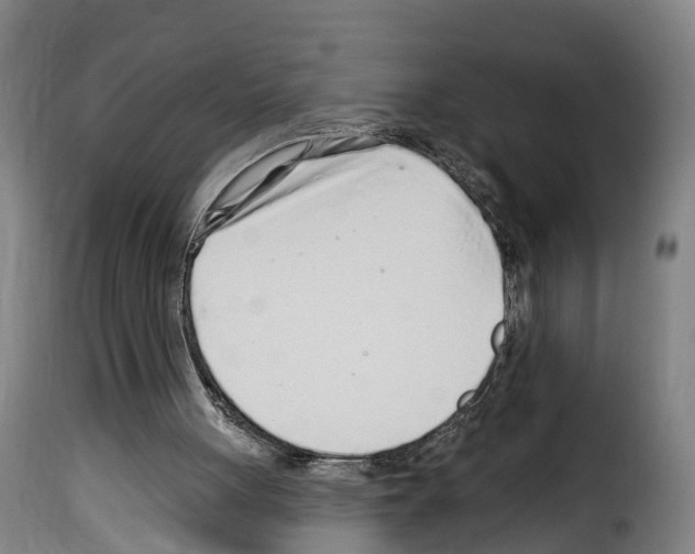 X0000114200051200911201009