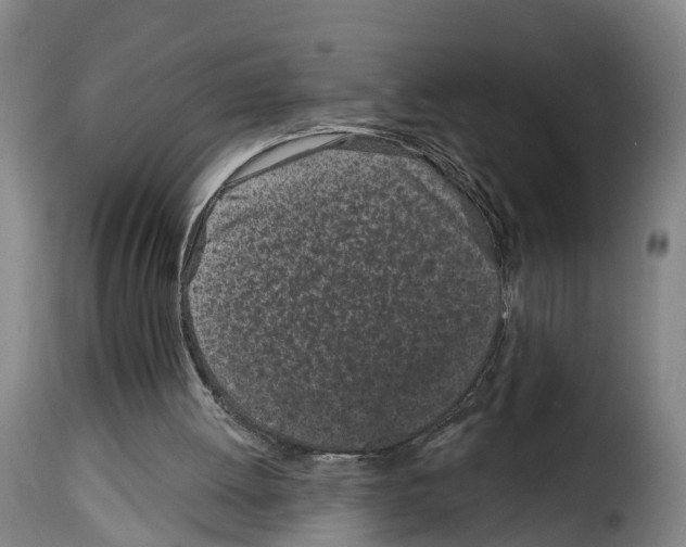 X0000114200052200911201009