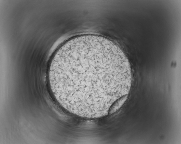 X0000114200056200911201009