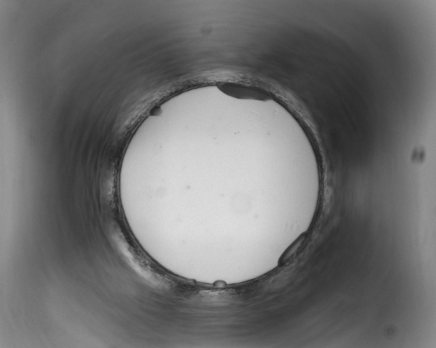 X0000114200057200911201009