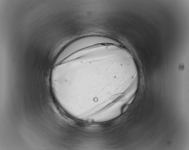 X0000114200058200911201009