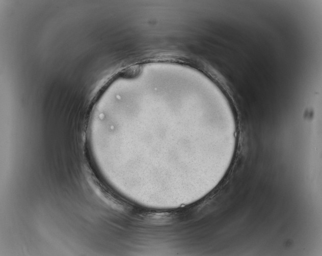 X0000114200059200911201009