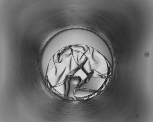 X0000114200060200911201009